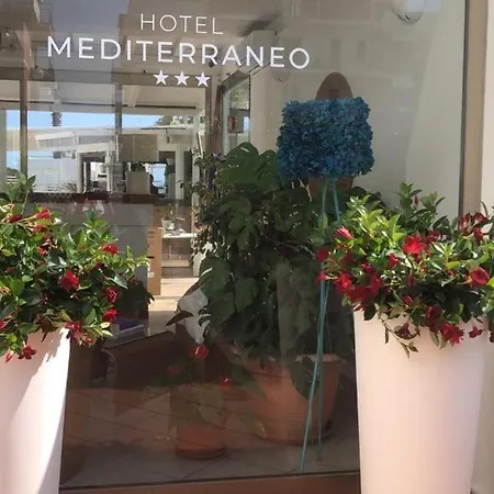 Mediterraneo